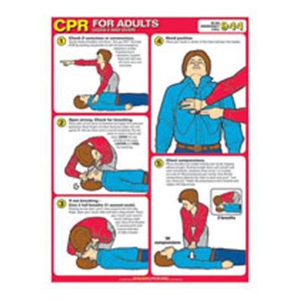 Chart First Aid CPR For Adults 18x24\
